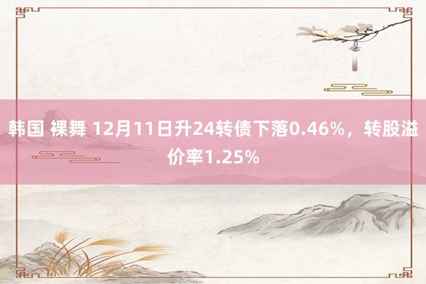 韩国 裸舞 12月11日升24转债下落0.46%，转股溢价率1.25%