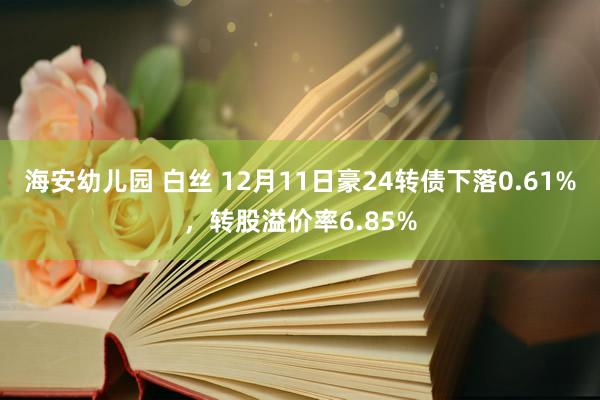 海安幼儿园 白丝 12月11日豪24转债下落0.61%，转股溢价率6.85%