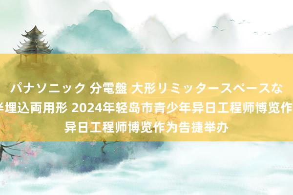 パナソニック 分電盤 大形リミッタースペースなし 露出・半埋込両用形 2024年轻岛市青少年异日工程师博览作为告捷举办