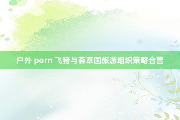 户外 porn 飞猪与荟萃国旅游组织策略合营