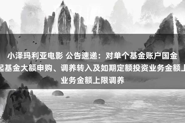 小泽玛利亚电影 公告速递：对单个基金账户国金国鑫发起基金大额申购、调养转入及如期定额投资业务金额上限调养