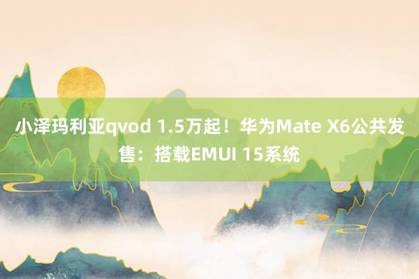 小泽玛利亚qvod 1.5万起！华为Mate X6公共发售：搭载EMUI 15系统