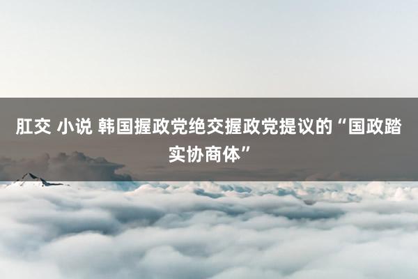 肛交 小说 韩国握政党绝交握政党提议的“国政踏实协商体”