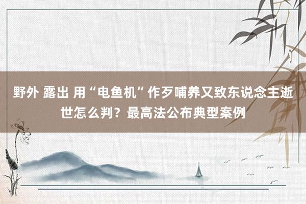 野外 露出 用“电鱼机”作歹哺养又致东说念主逝世怎么判？最高法公布典型案例