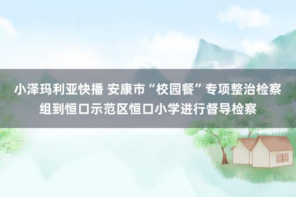 小泽玛利亚快播 安康市“校园餐”专项整治检察组到恒口示范区恒口小学进行督导检察