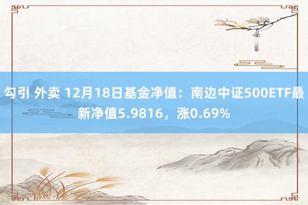 勾引 外卖 12月18日基金净值：南边中证500ETF最新净值5.9816，涨0.69%