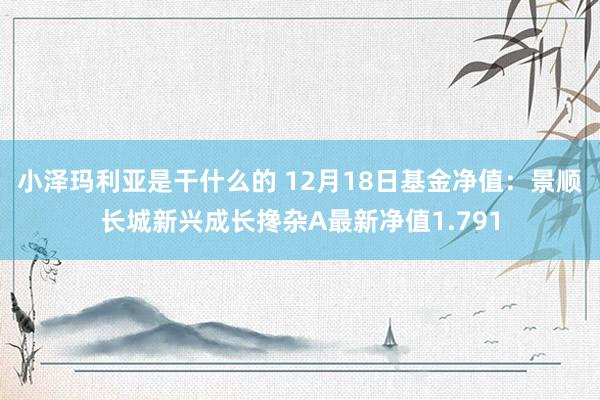 小泽玛利亚是干什么的 12月18日基金净值：景顺长城新兴成长搀杂A最新净值1.791