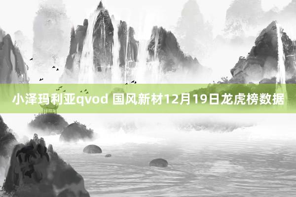 小泽玛利亚qvod 国风新材12月19日龙虎榜数据