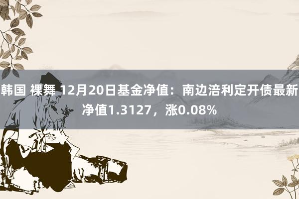 韩国 裸舞 12月20日基金净值：南边涪利定开债最新净值1.3127，涨0.08%