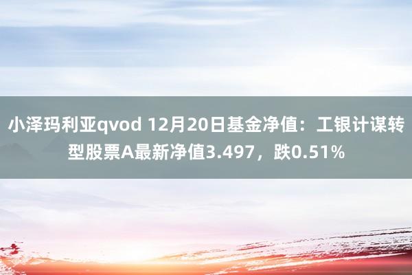 小泽玛利亚qvod 12月20日基金净值：工银计谋转型股票A最新净值3.497，跌0.51%