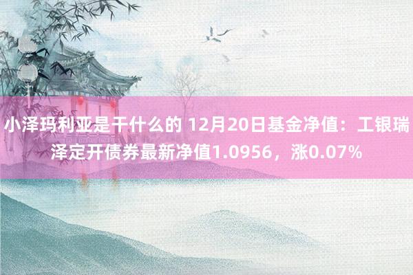 小泽玛利亚是干什么的 12月20日基金净值：工银瑞泽定开债券最新净值1.0956，涨0.07%