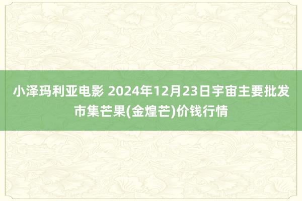 小泽玛利亚电影 2024年12月23日宇宙主要批发市集芒果(金煌芒)价钱行情