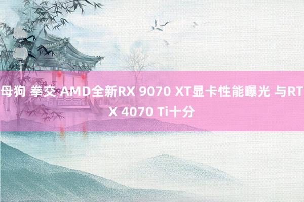 母狗 拳交 AMD全新RX 9070 XT显卡性能曝光 与RTX 4070 Ti十分