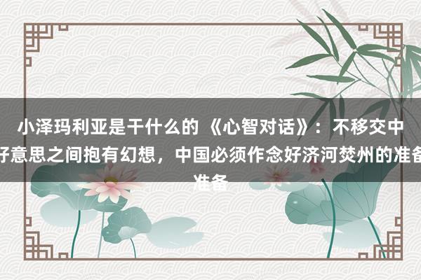 小泽玛利亚是干什么的 《心智对话》：不移交中好意思之间抱有幻想，中国必须作念好济河焚州的准备