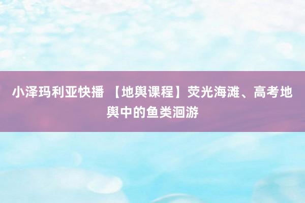 小泽玛利亚快播 【地舆课程】荧光海滩、高考地舆中的鱼类洄游