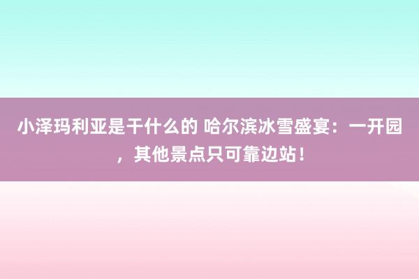 小泽玛利亚是干什么的 哈尔滨冰雪盛宴：一开园，其他景点只可靠边站！