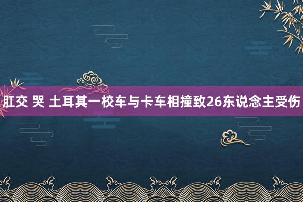 肛交 哭 土耳其一校车与卡车相撞致26东说念主受伤