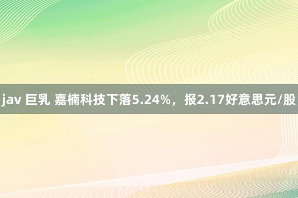 jav 巨乳 嘉楠科技下落5.24%，报2.17好意思元/股