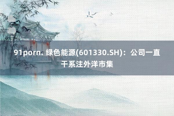 91porn. 绿色能源(601330.SH)：公司一直干系注外洋市集