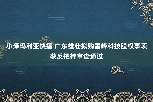 小泽玛利亚快播 广东雄壮拟购雪峰科技股权事项获反把持审查通过