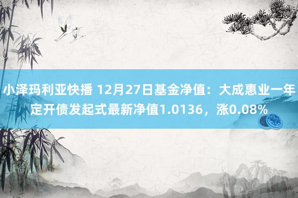 小泽玛利亚快播 12月27日基金净值：大成惠业一年定开债发起式最新净值1.0136，涨0.08%