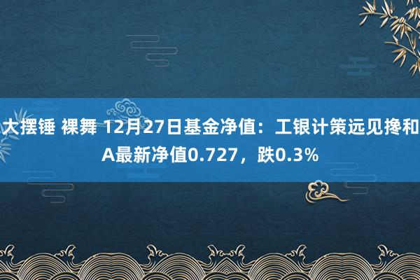 大摆锤 裸舞 12月27日基金净值：工银计策远见搀和A最新净值0.727，跌0.3%