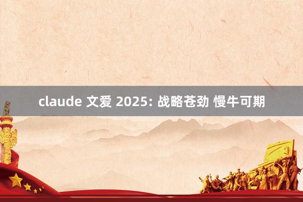 claude 文爱 2025: 战略苍劲 慢牛可期