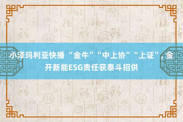 小泽玛利亚快播 “金牛”“中上协”“上证”， 金开新能ESG责任获泰斗招供