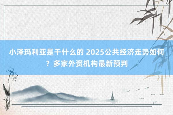 小泽玛利亚是干什么的 2025公共经济走势如何？多家外资机构最新预判