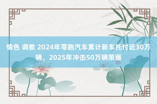 情色 调教 2024年零跑汽车累计新车托付近30万辆，2025年冲击50万辆策画