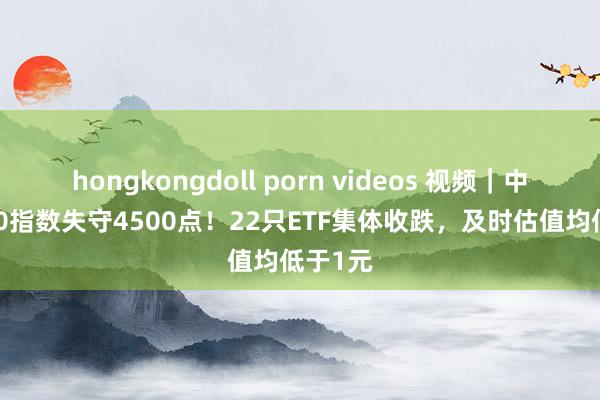 hongkongdoll porn videos 视频｜中证A500指数失守4500点！22只ETF集体收跌，及时估值均低于1元