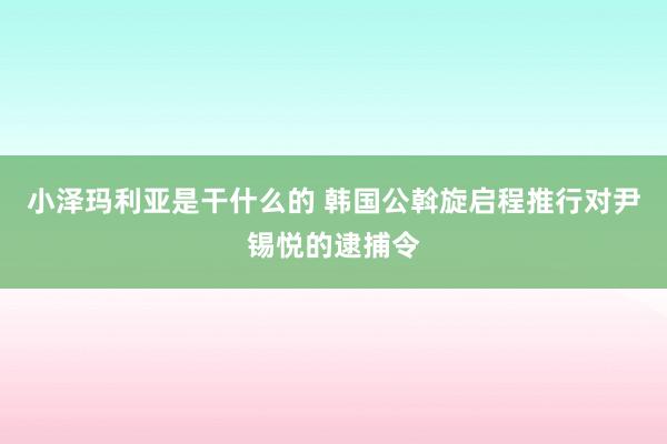 小泽玛利亚是干什么的 韩国公斡旋启程推行对尹锡悦的逮捕令