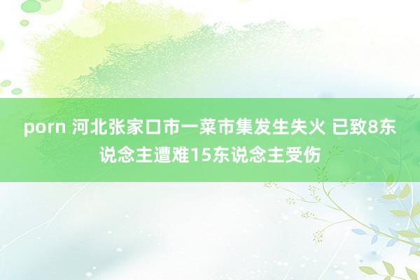 porn 河北张家口市一菜市集发生失火 已致8东说念主遭难15东说念主受伤