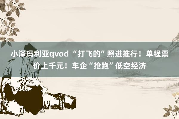 小泽玛利亚qvod “打飞的”照进推行！单程票价上千元！车企“抢跑”低空经济