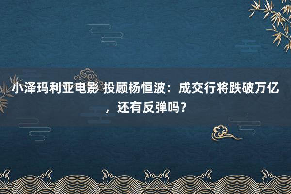 小泽玛利亚电影 投顾杨恒波：成交行将跌破万亿，还有反弹吗？