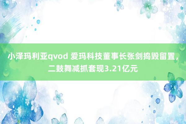 小泽玛利亚qvod 爱玛科技董事长张剑捣毁留置，二鼓舞减抓套现3.21亿元