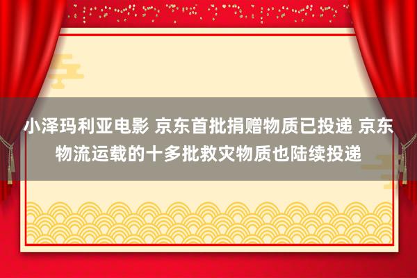 小泽玛利亚电影 京东首批捐赠物质已投递 京东物流运载的十多批救灾物质也陆续投递