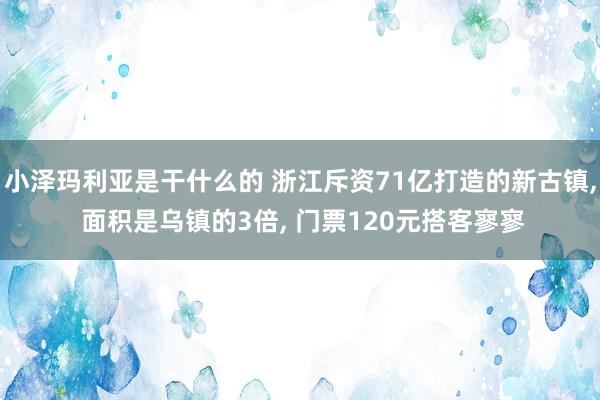 小泽玛利亚是干什么的 浙江斥资71亿打造的新古镇， 面积是乌镇的3倍， 门票120元搭客寥寥