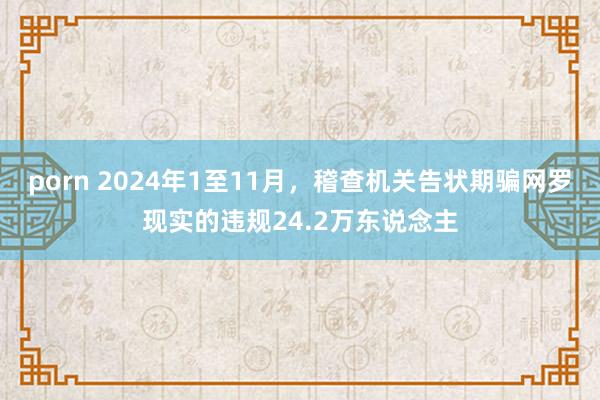 porn 2024年1至11月，稽查机关告状期骗网罗现实的违规24.2万东说念主