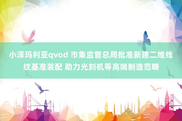 小泽玛利亚qvod 市集监管总局批准新建二维线纹基准装配 助力光刻机等高端制造范畴