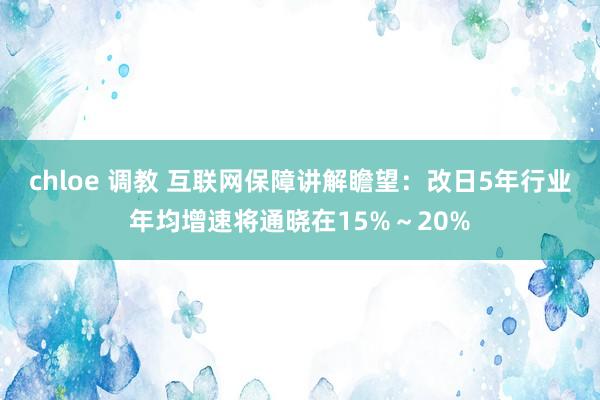 chloe 调教 互联网保障讲解瞻望：改日5年行业年均增速将通晓在15%～20%