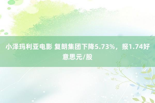 小泽玛利亚电影 复朗集团下降5.73%，报1.74好意思元/股