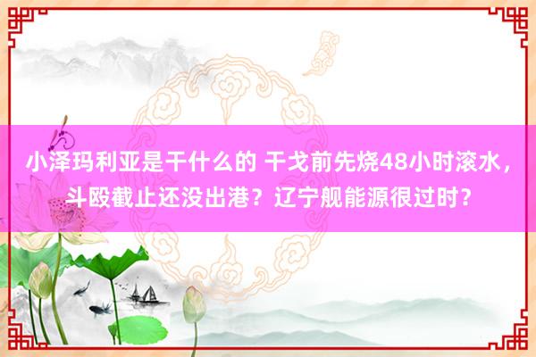 小泽玛利亚是干什么的 干戈前先烧48小时滚水，斗殴截止还没出港？辽宁舰能源很过时？