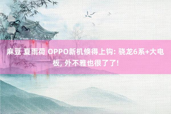 麻豆 夏雨荷 OPPO新机倏得上钩: 骁龙6系+大电板， 外不雅也很了了!